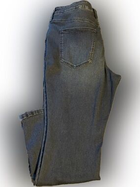 Terra & Sky Women Size 18 Plus Petite Jeans Skinny Leg Tummy Control Inseam 27”